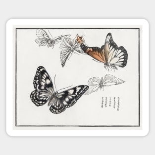 Butterflies Sticker